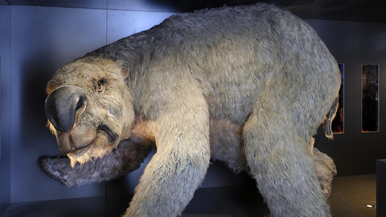 Prehistoric marsupial Diprotodon reconstruction