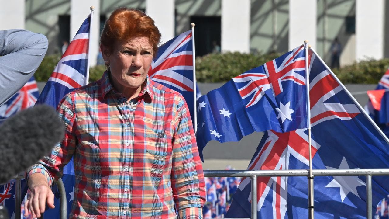 One Nation leader Pauline Hanson (file image)
