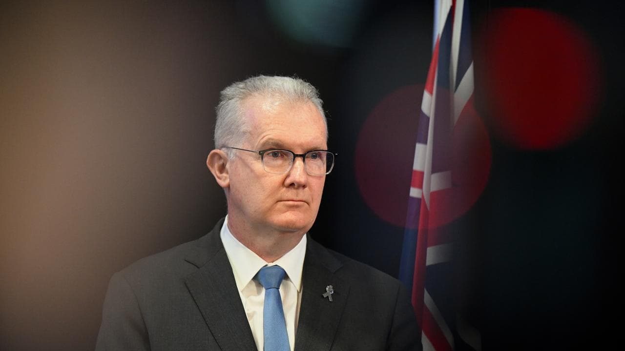 Home Affairs Minister Tony Burke (file)