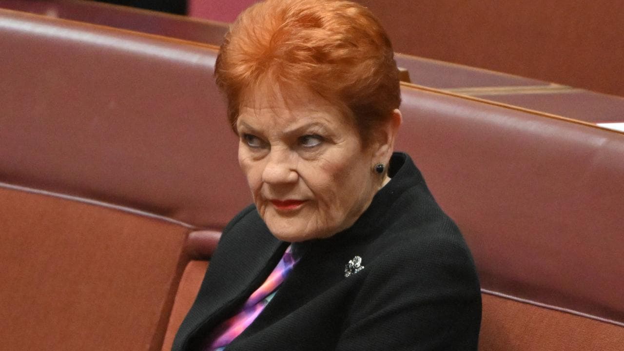 One Nation leader Pauline Hanson