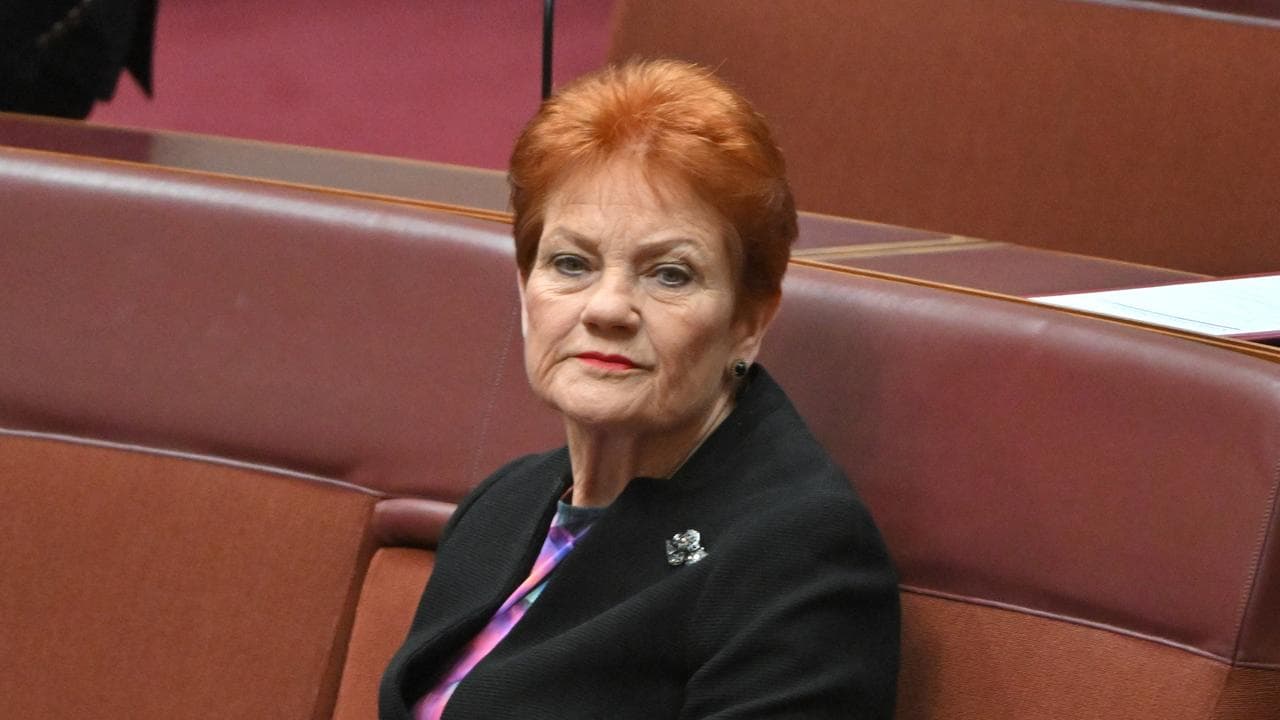 One Nation leader Pauline Hanson (file image)