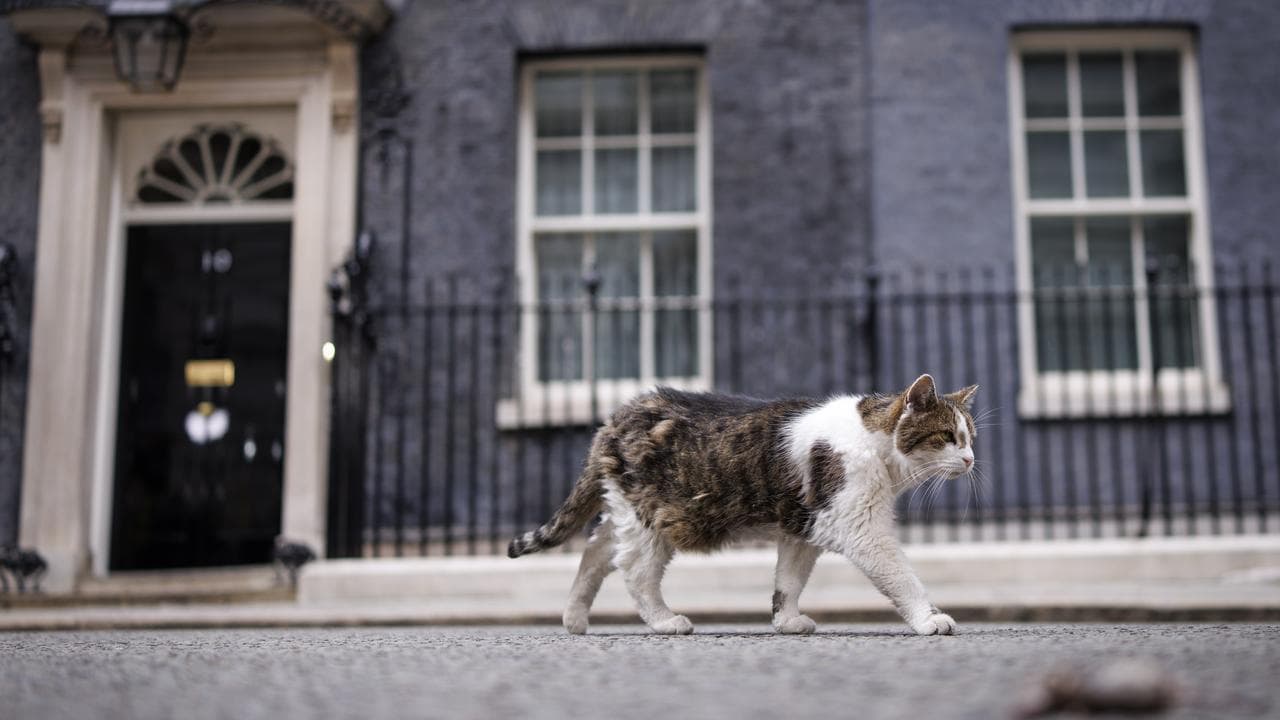 Britain's new Prime Minister