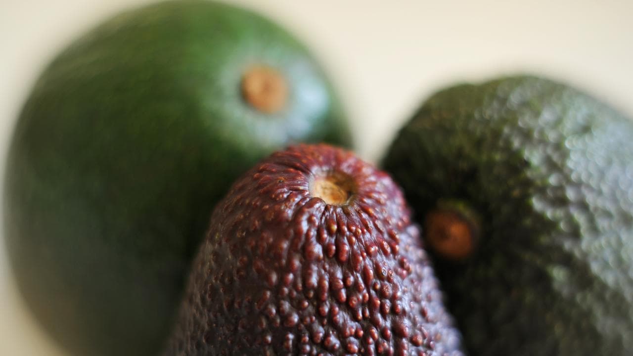 Stock image of avocados
