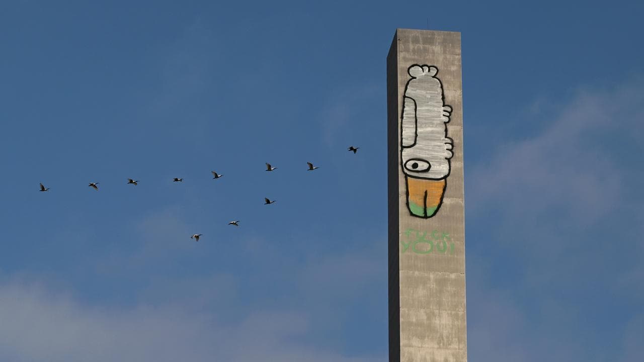 Pam the Bird graffiti