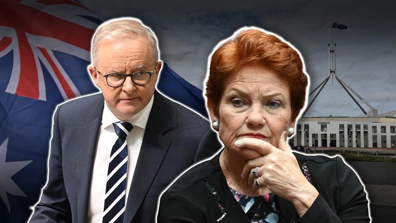 Anthony Albanese and Senator Pauline Hanson