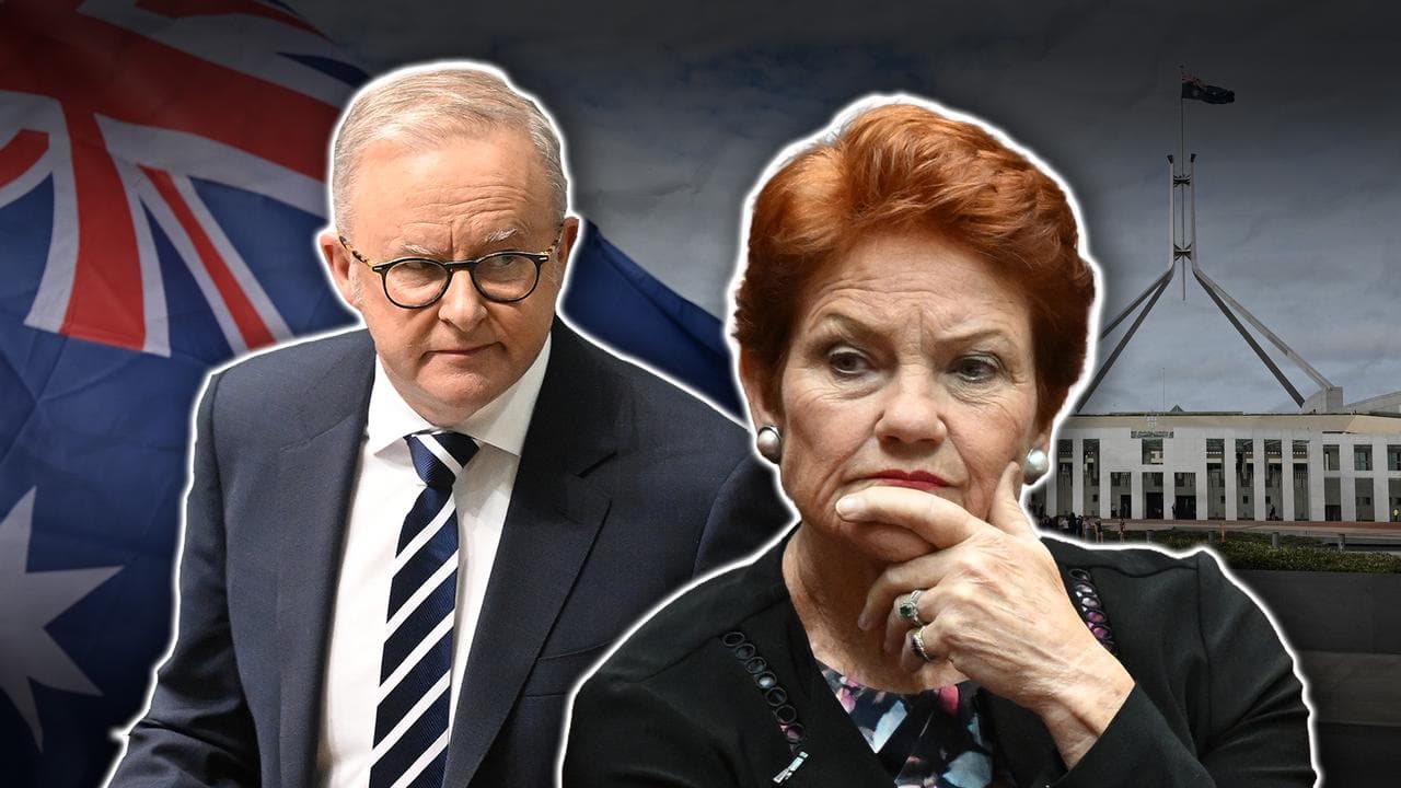 Anthony Albanese and One Nation Senator Pauline Hanson