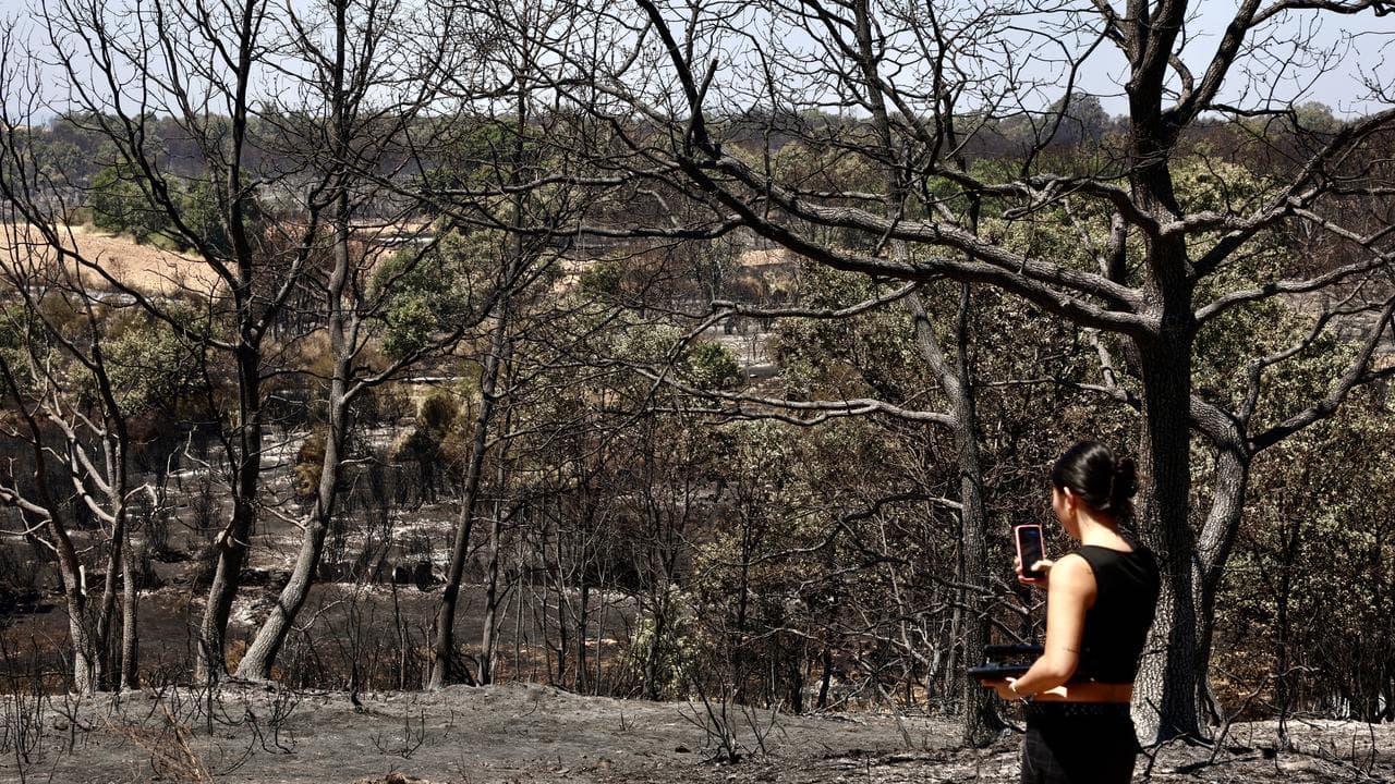 Crews halt spread of wildfire