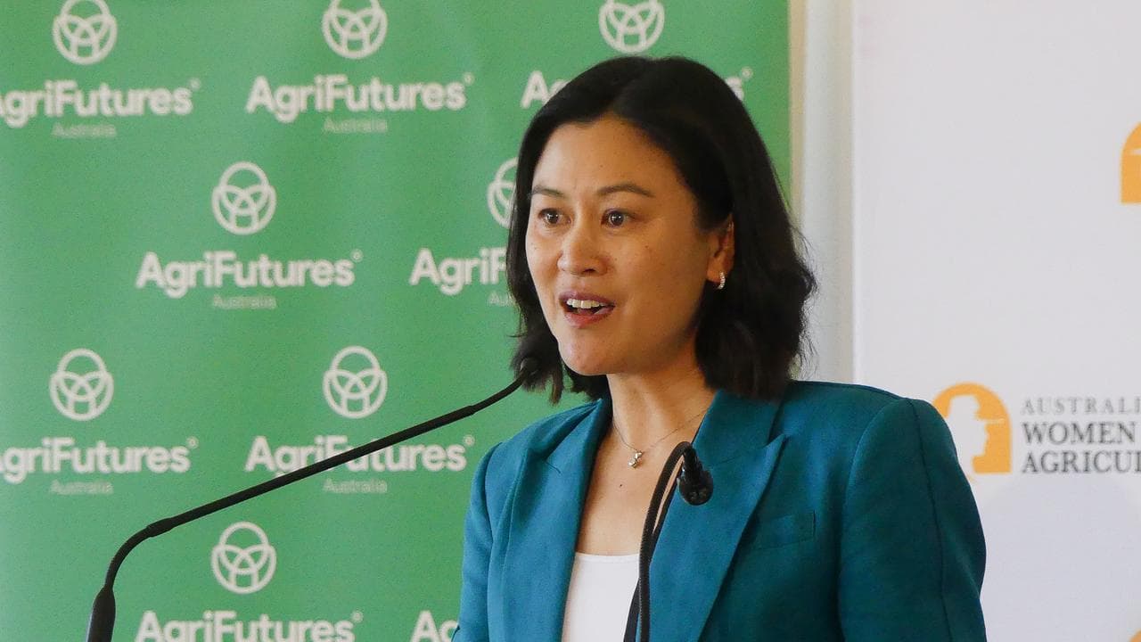Ryka Global chief executive Vi Nguyen