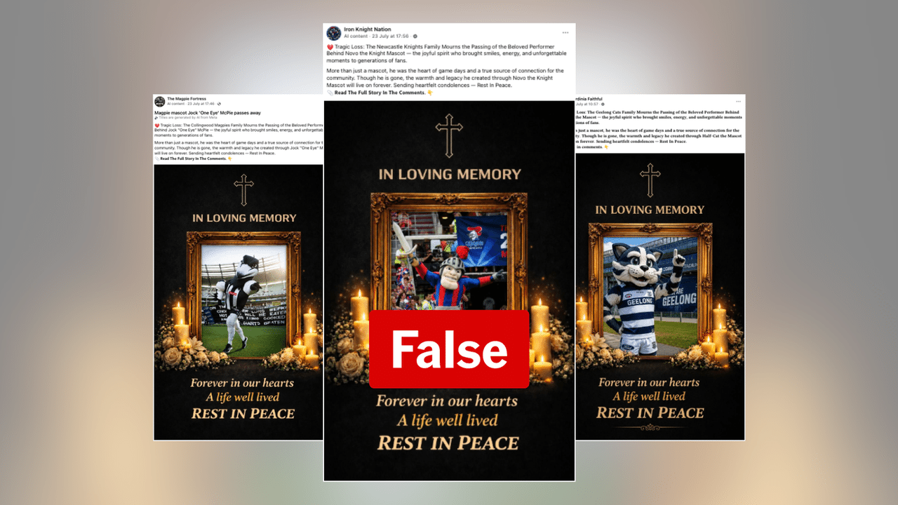 Screenshots of fake posts about dead sports mascot performers