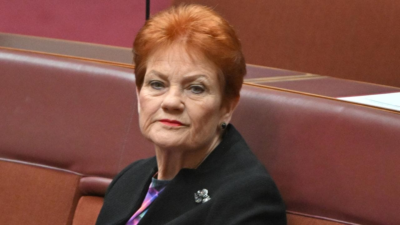 One Nation leader Pauline Hanson