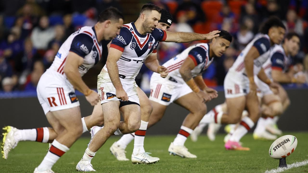Roosters 
