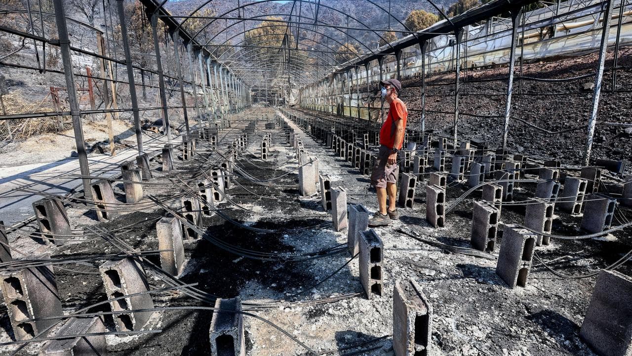 Spain Wildfires