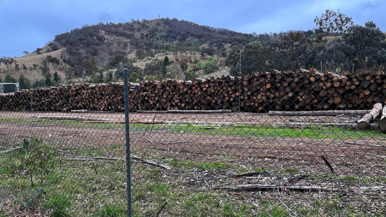 A timber mill