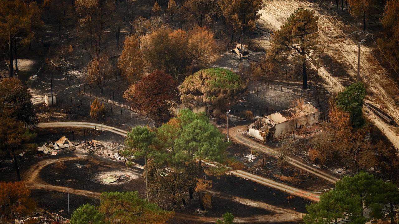 An area burned by wildfires near Le Porge, France