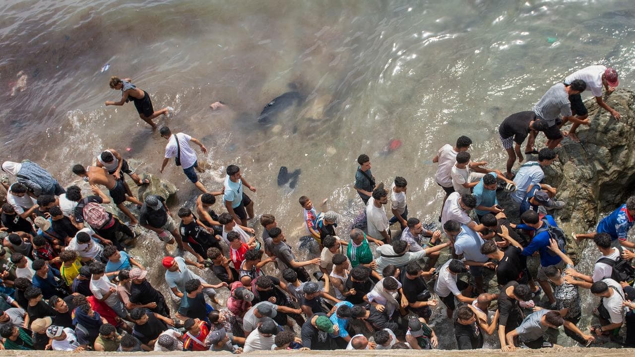 Migrants