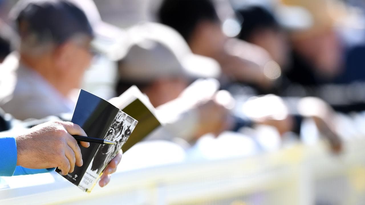 People at a racetrack