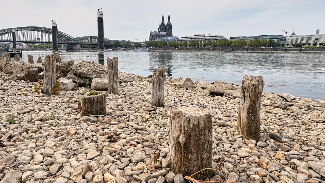 The Rhine river at Cologne