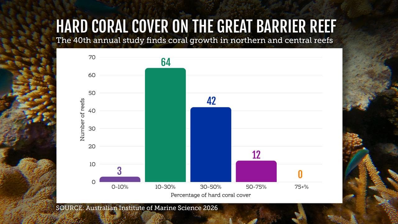 coral