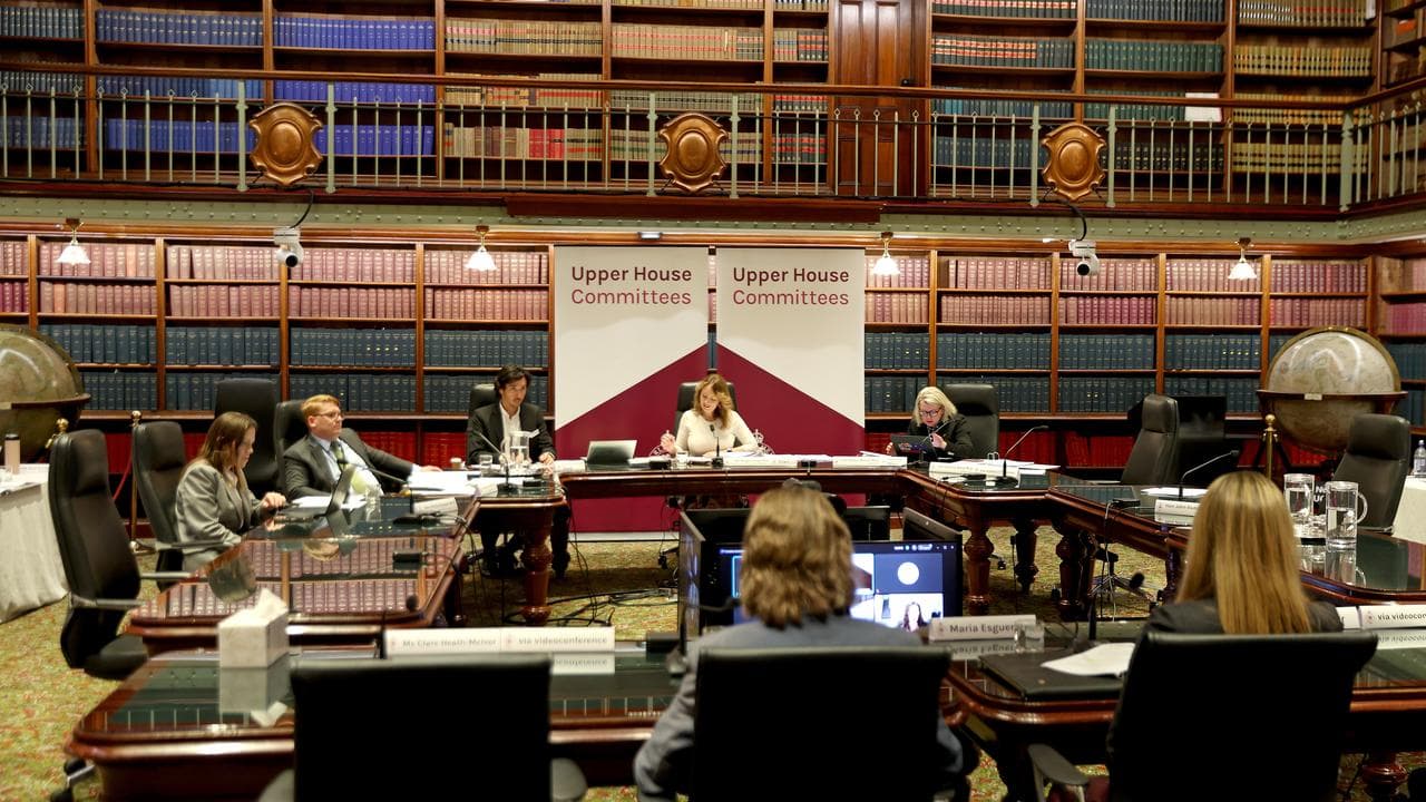 NSW committee