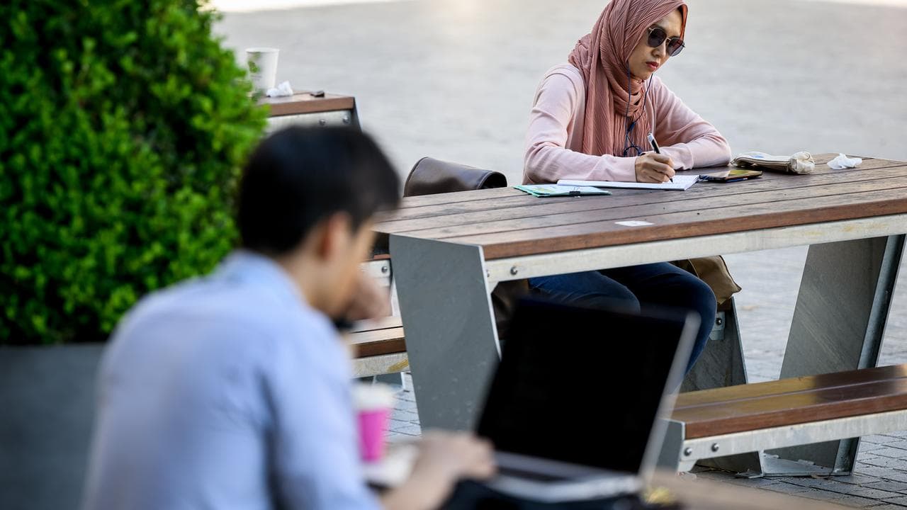 Students studying at a university campus (file image)