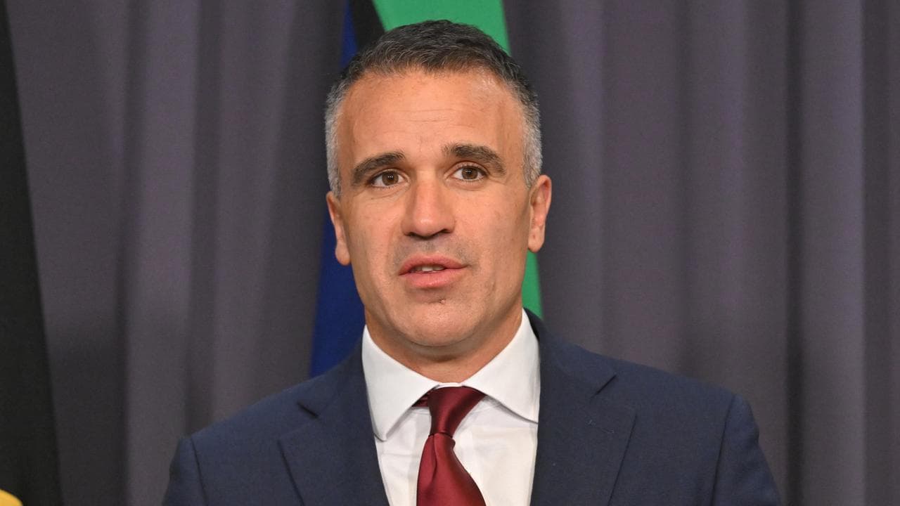 South Australian Premier Peter Malinauskas (file image)