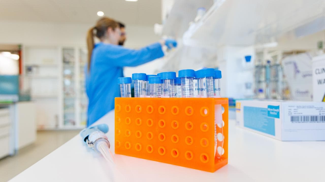 Test tubes in rack (file)