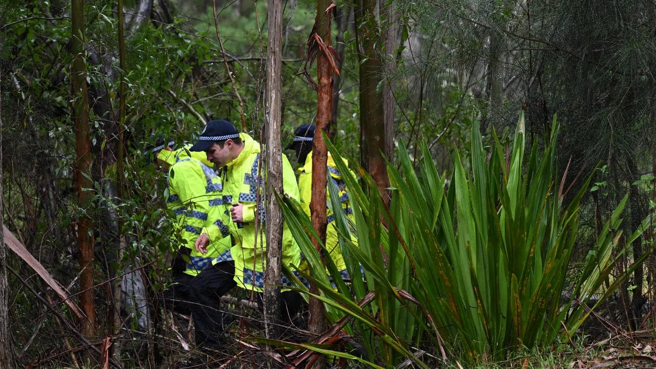 Police search bushland (file image)