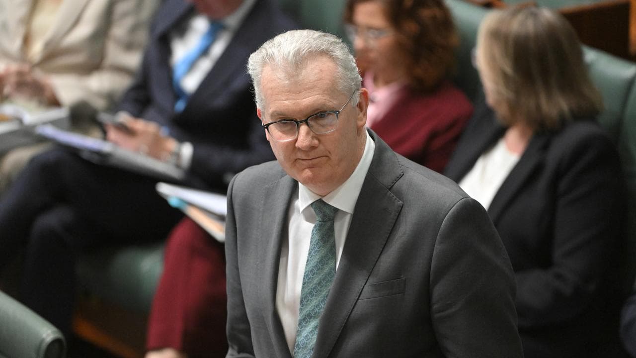 Home Affairs Minister Tony Burke