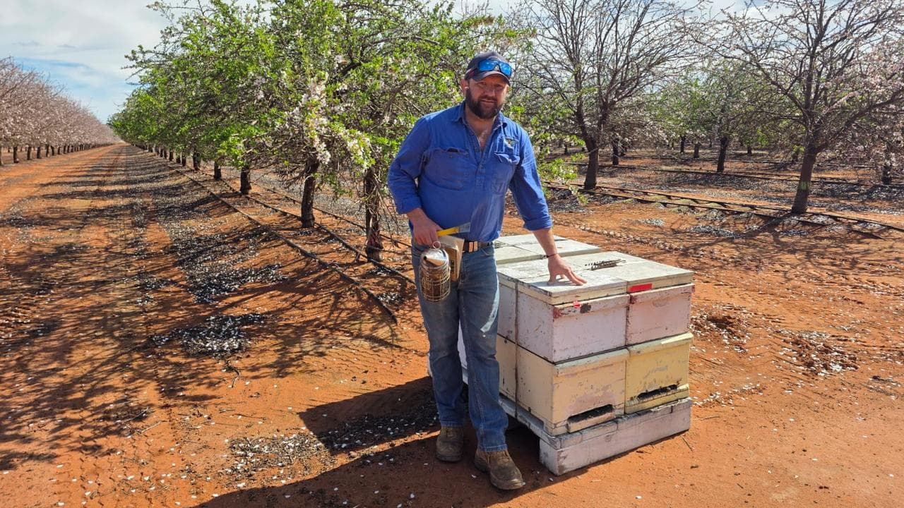 NSW Apiarists' Association president Matt Skinner
