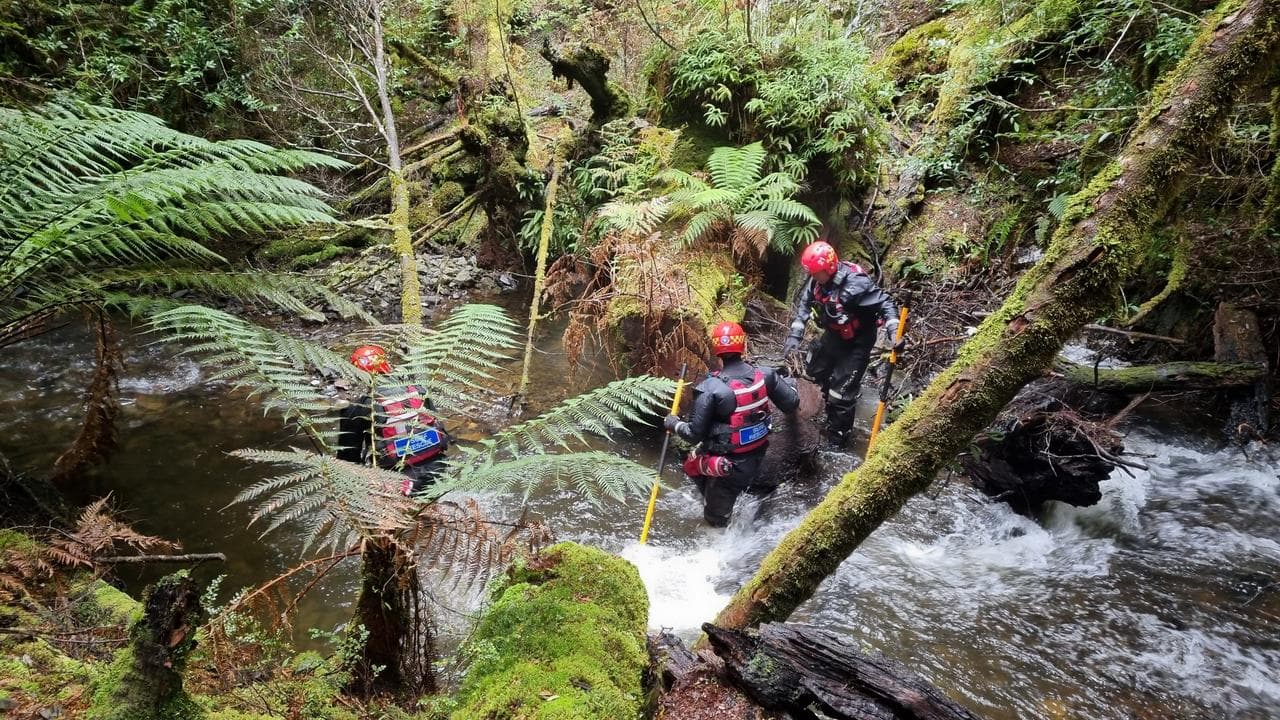 search in bushland