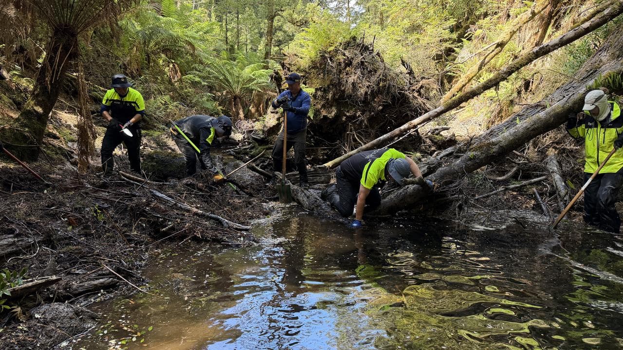 Bushland search