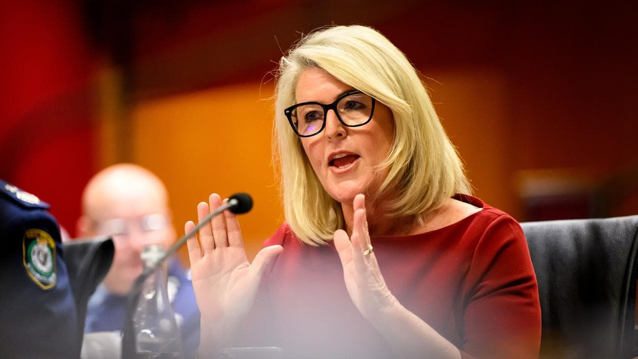 NSW Police Minister Yasmine Catley