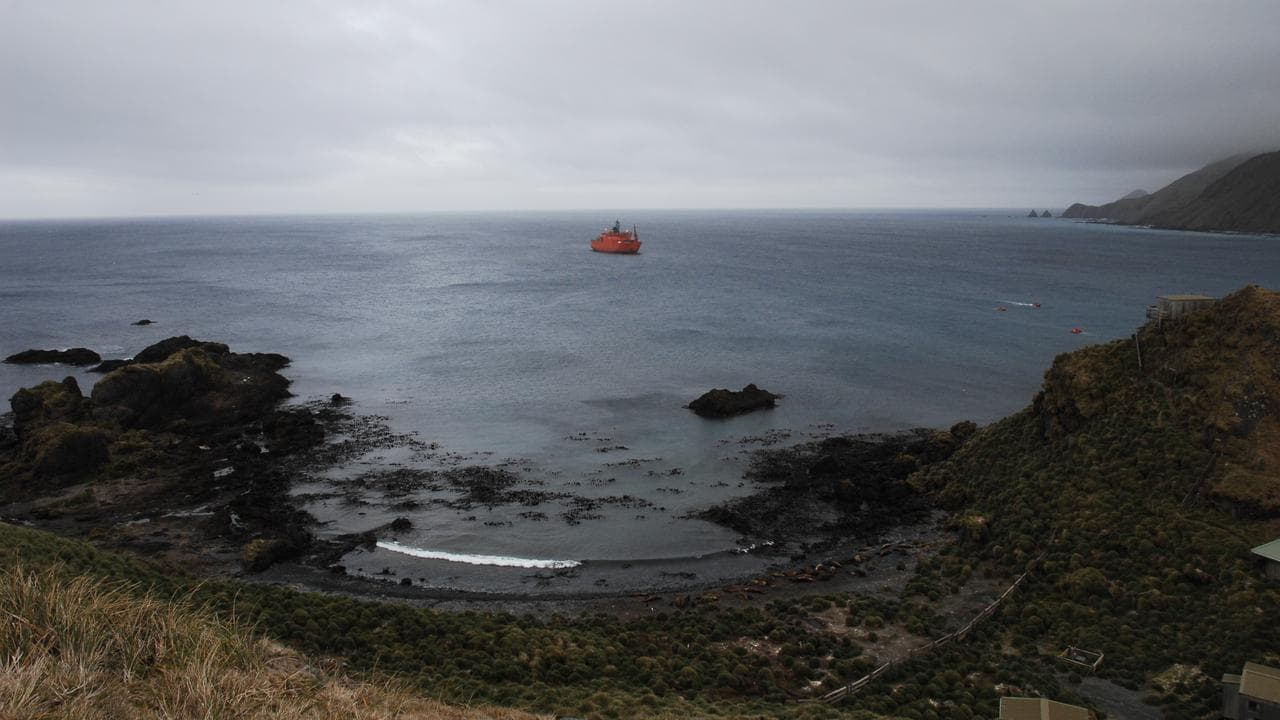 Macquarie Island