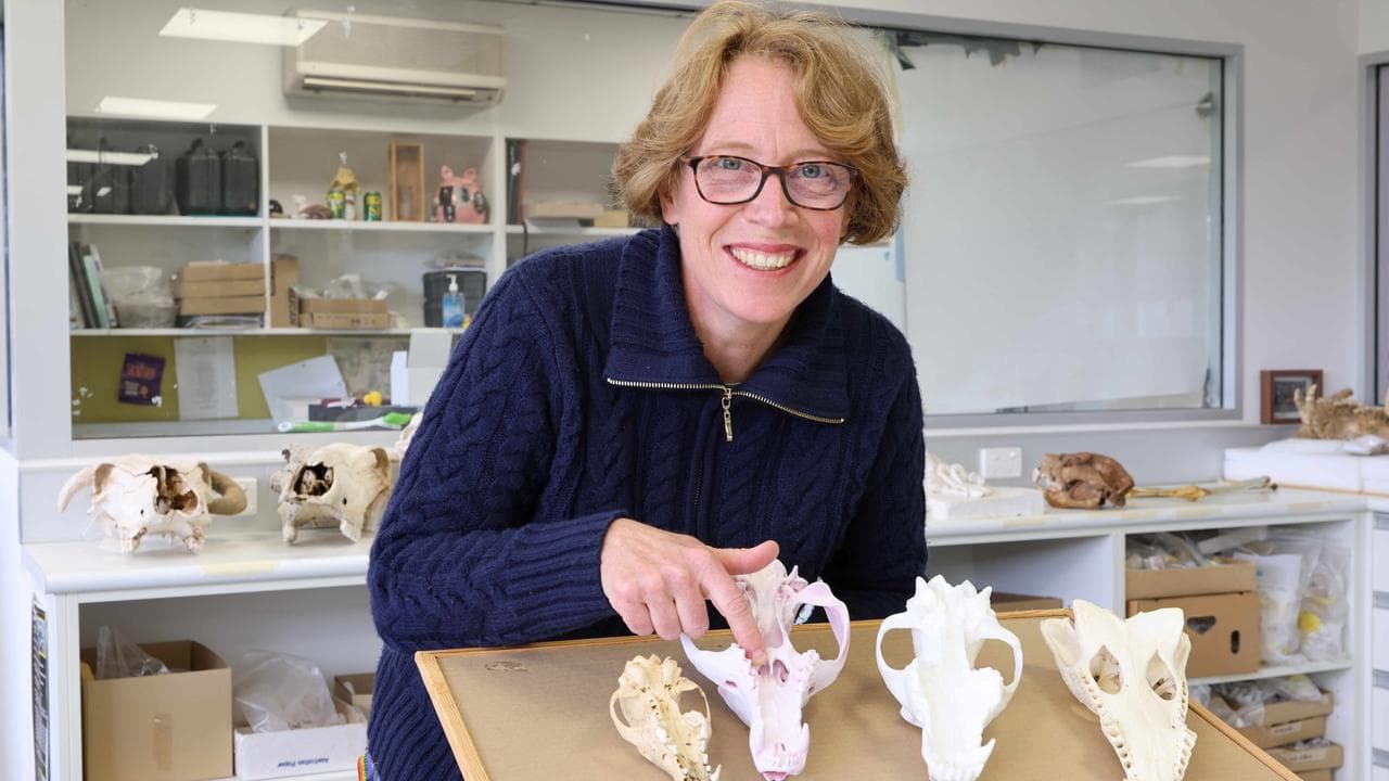 Professor Vera Weisbecker