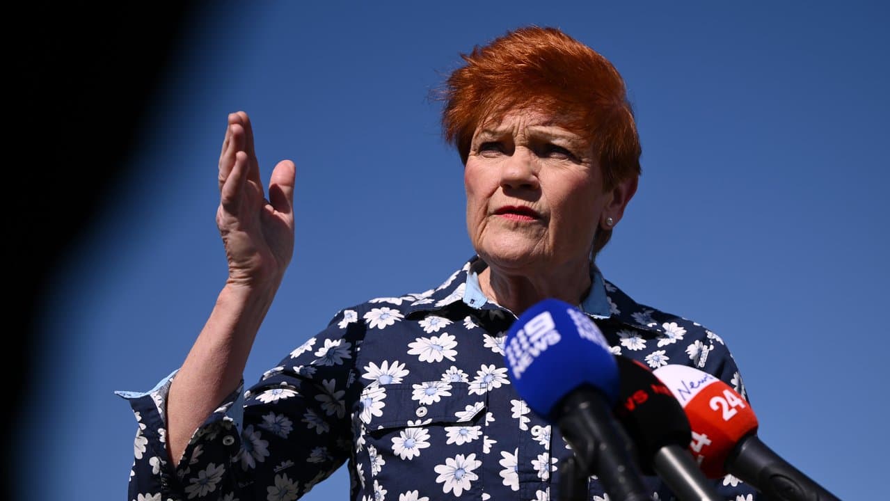 One Nation leader Pauline Hanson