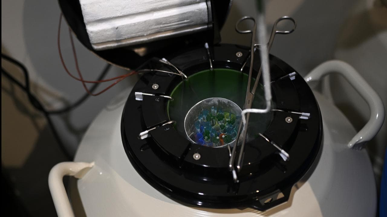 IVF equipment