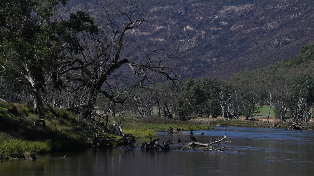 A section of the Murray River (file image)