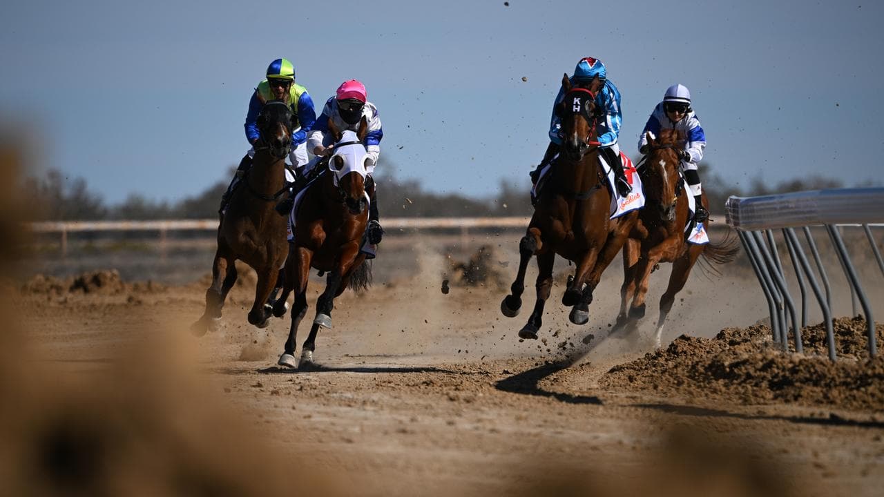 Horses racing at Birdsville (file image)