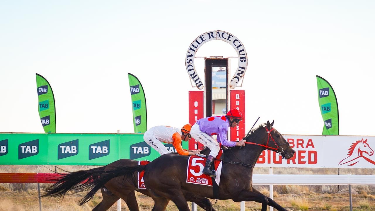 Horses racing