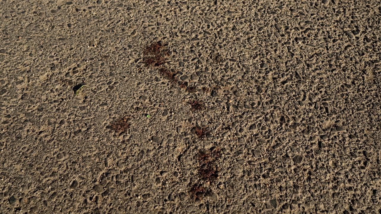 Blood at a crime scene