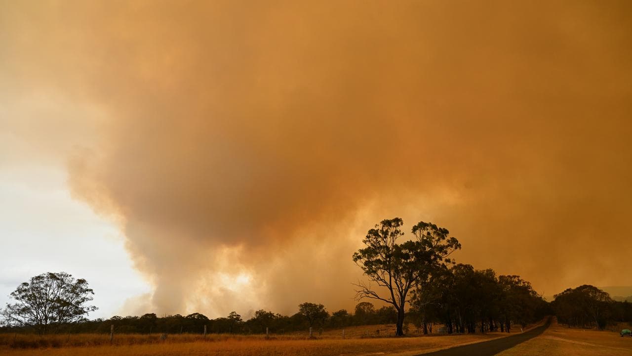 A bushfire