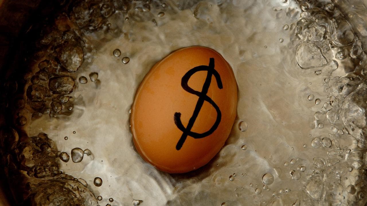An egg boiling in hot water with a dollar sign on it (file image)