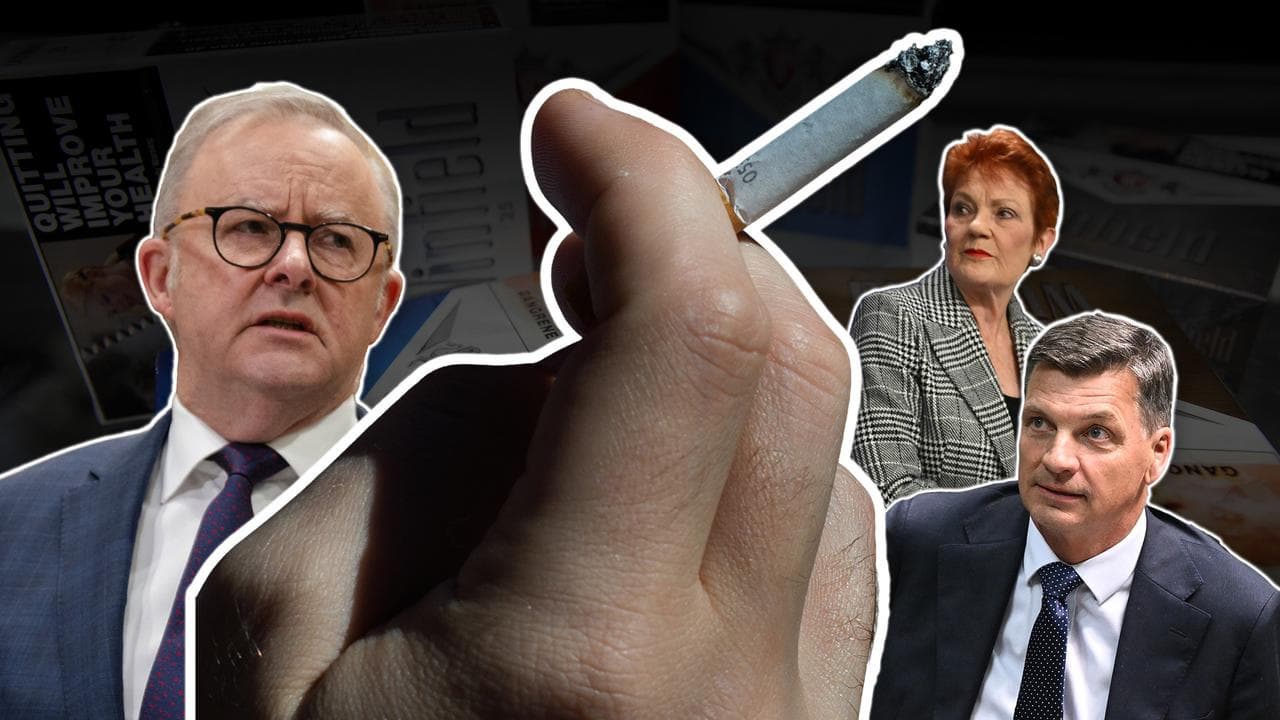 A cigarette and political leaders (file images)