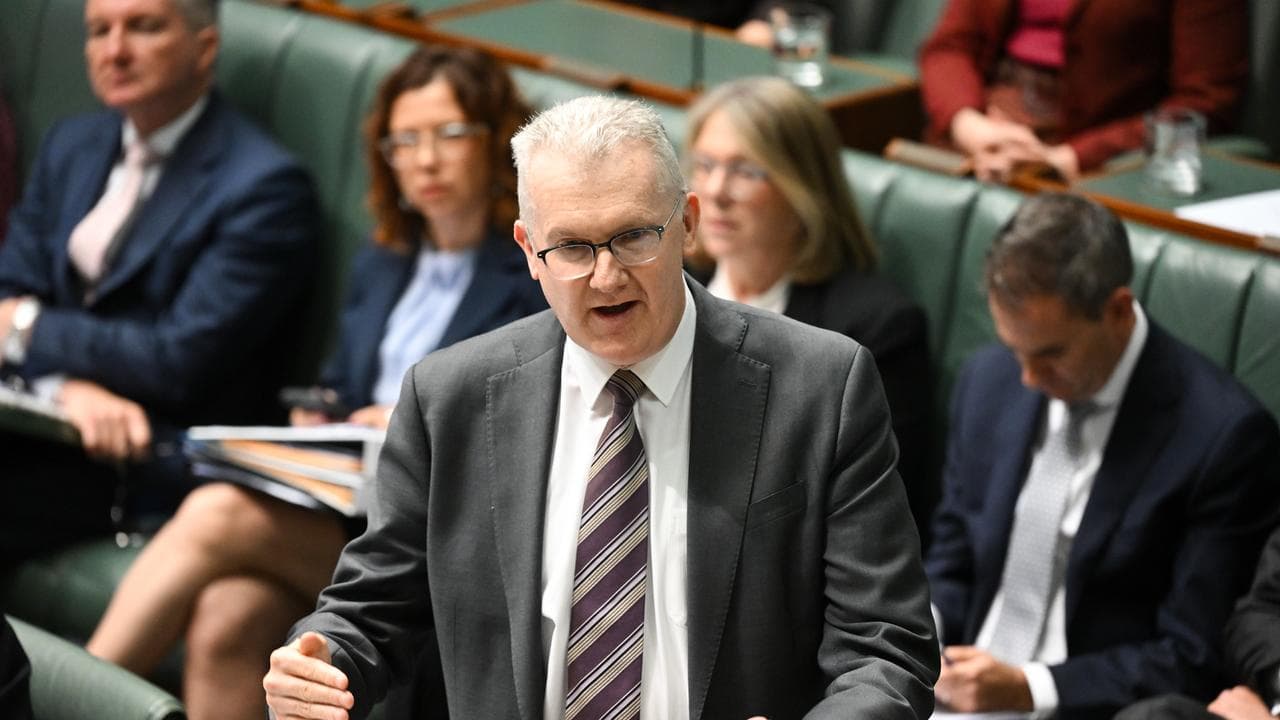 Tony Burke in parliament
