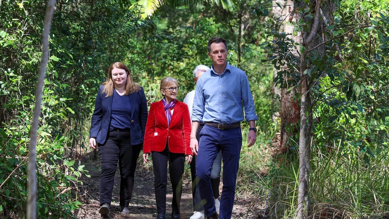NSW Premier Chris Minns (file image)