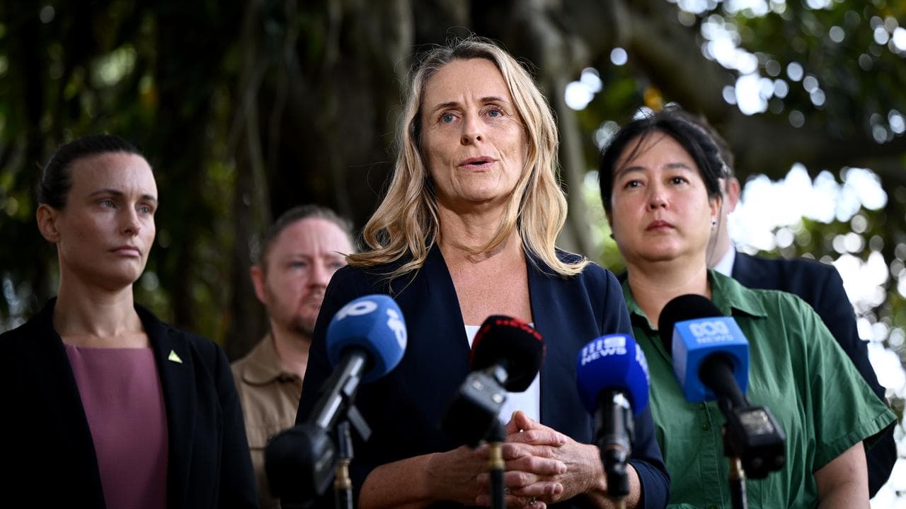 NSW Greens MP Sue Higginson (file image)