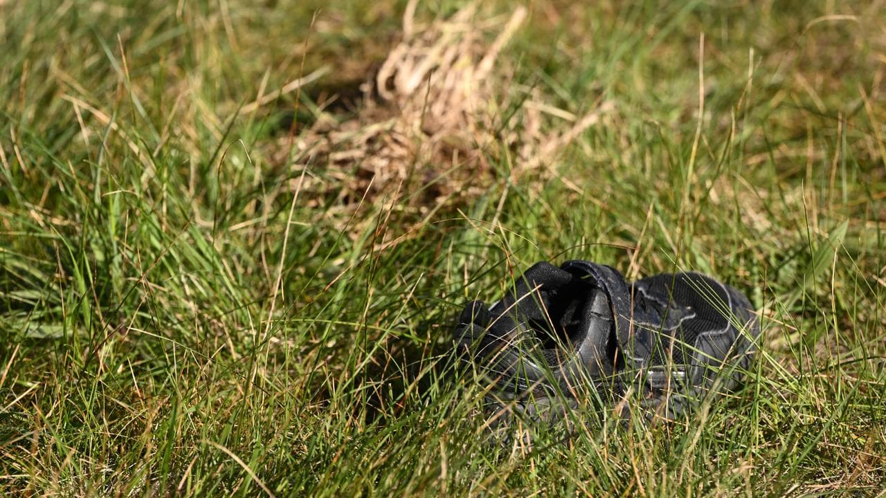 shoe
