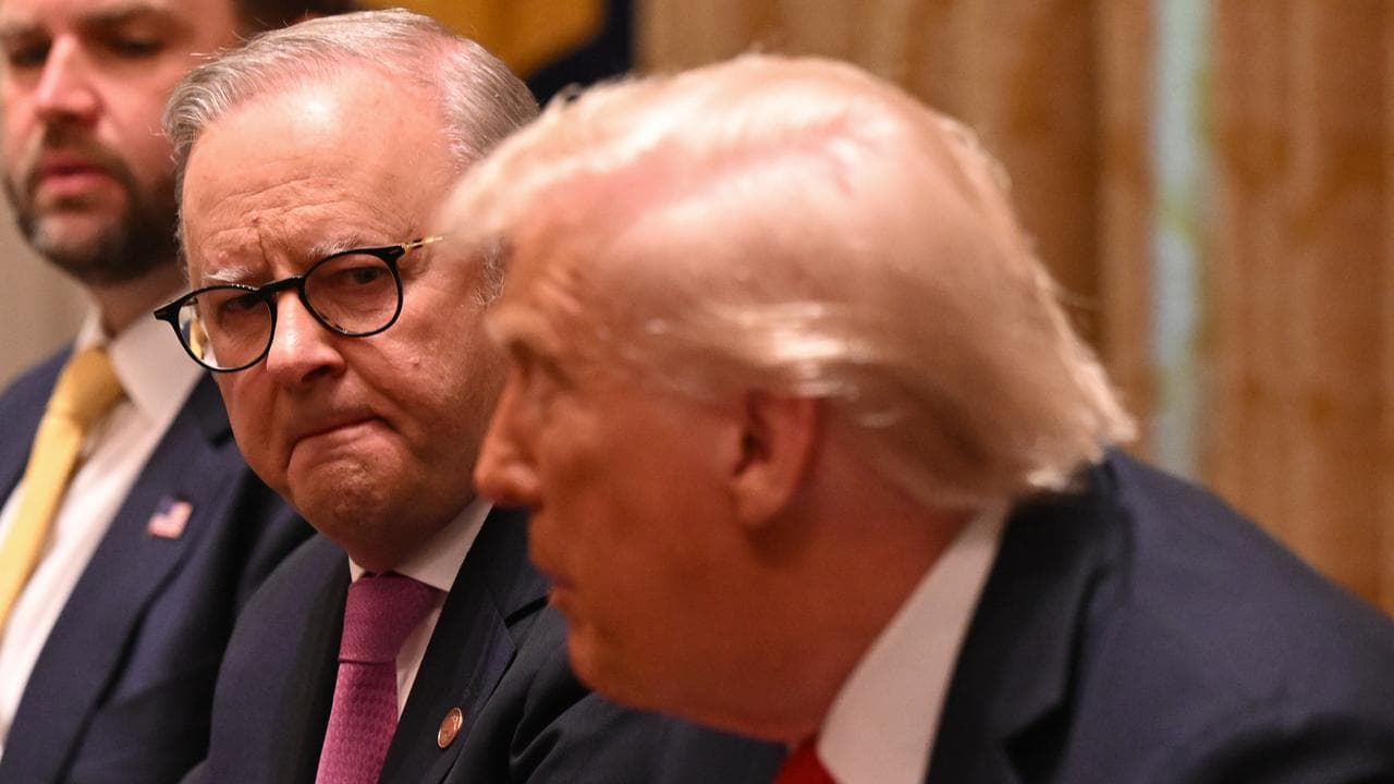 ANTHONY ALBANESE US VISIT