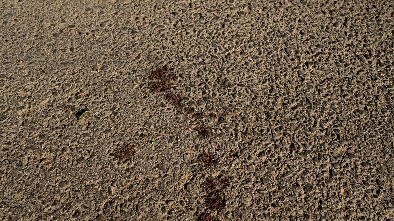 A blood tain in a car park