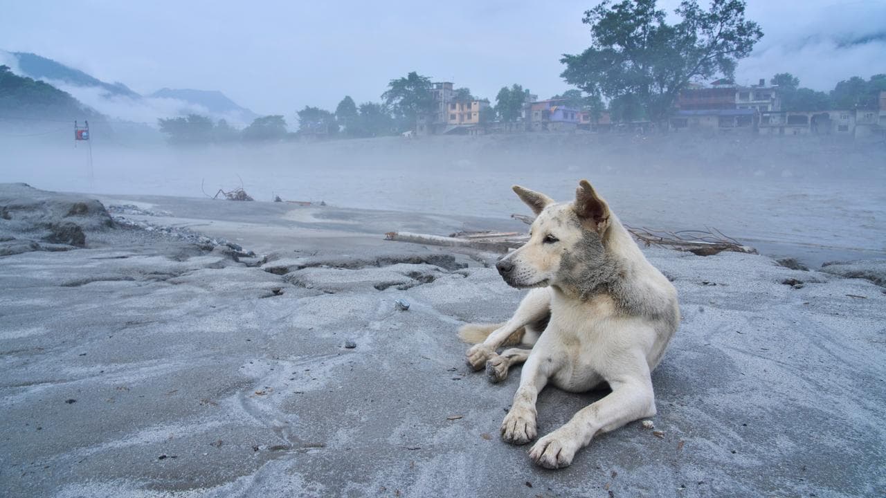 Nepal Flood